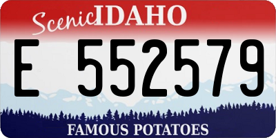 ID license plate E552579