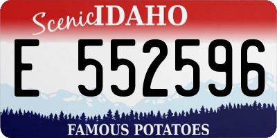 ID license plate E552596