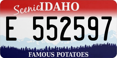 ID license plate E552597