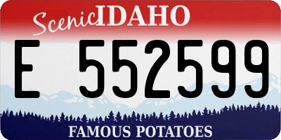 ID license plate E552599