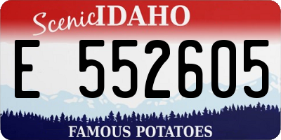 ID license plate E552605