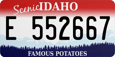 ID license plate E552667