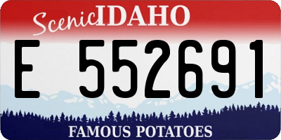 ID license plate E552691
