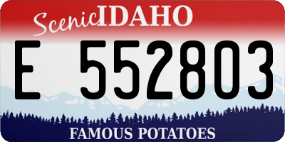 ID license plate E552803