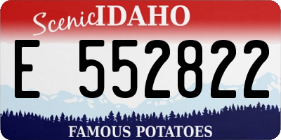 ID license plate E552822