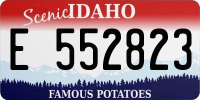 ID license plate E552823