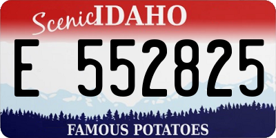 ID license plate E552825