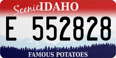 ID license plate E552828