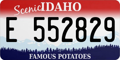 ID license plate E552829