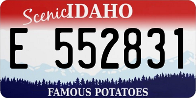 ID license plate E552831