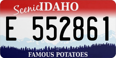ID license plate E552861