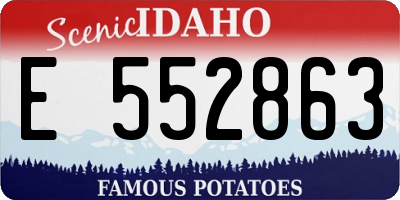 ID license plate E552863