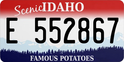 ID license plate E552867