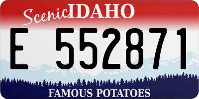 ID license plate E552871