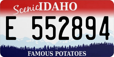 ID license plate E552894