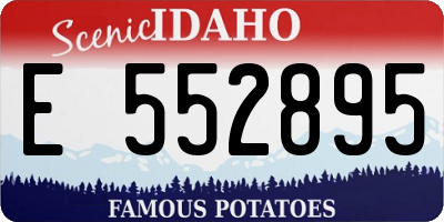 ID license plate E552895