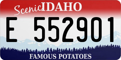ID license plate E552901