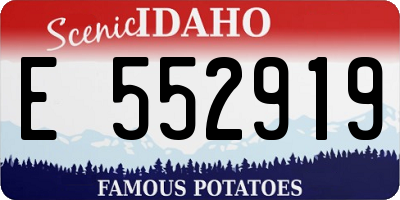 ID license plate E552919