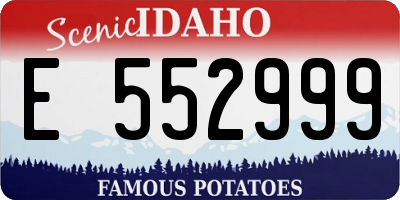 ID license plate E552999