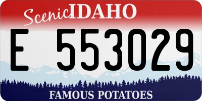 ID license plate E553029