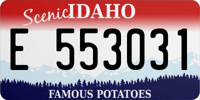 ID license plate E553031