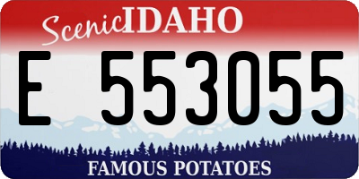 ID license plate E553055