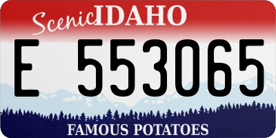 ID license plate E553065
