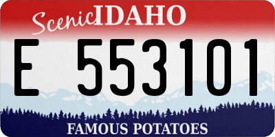 ID license plate E553101