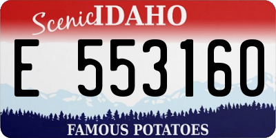 ID license plate E553160