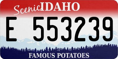 ID license plate E553239