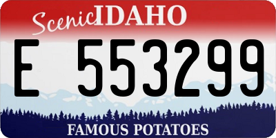 ID license plate E553299