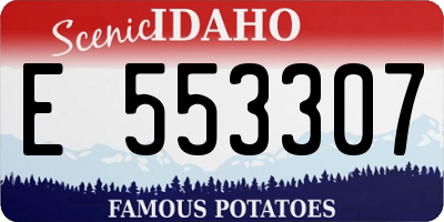 ID license plate E553307