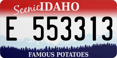 ID license plate E553313