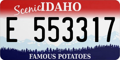 ID license plate E553317