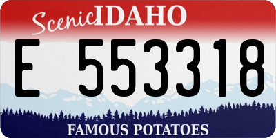 ID license plate E553318