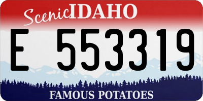 ID license plate E553319