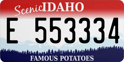 ID license plate E553334