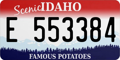 ID license plate E553384