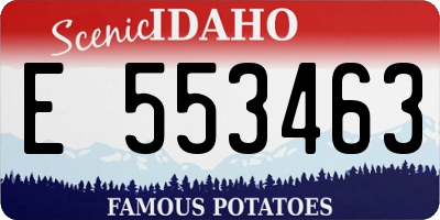 ID license plate E553463