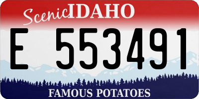 ID license plate E553491