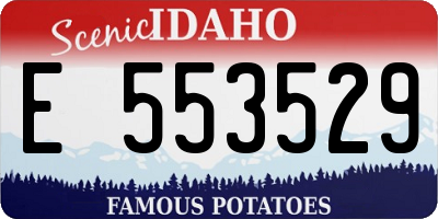 ID license plate E553529
