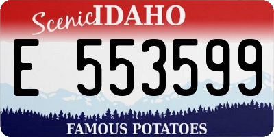 ID license plate E553599