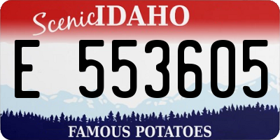 ID license plate E553605