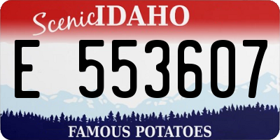 ID license plate E553607