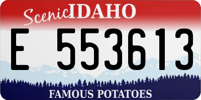 ID license plate E553613