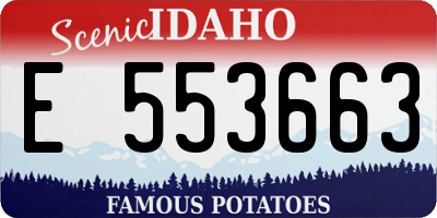 ID license plate E553663
