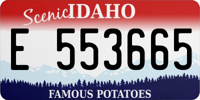 ID license plate E553665