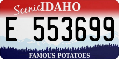 ID license plate E553699