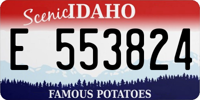 ID license plate E553824