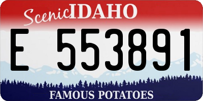 ID license plate E553891